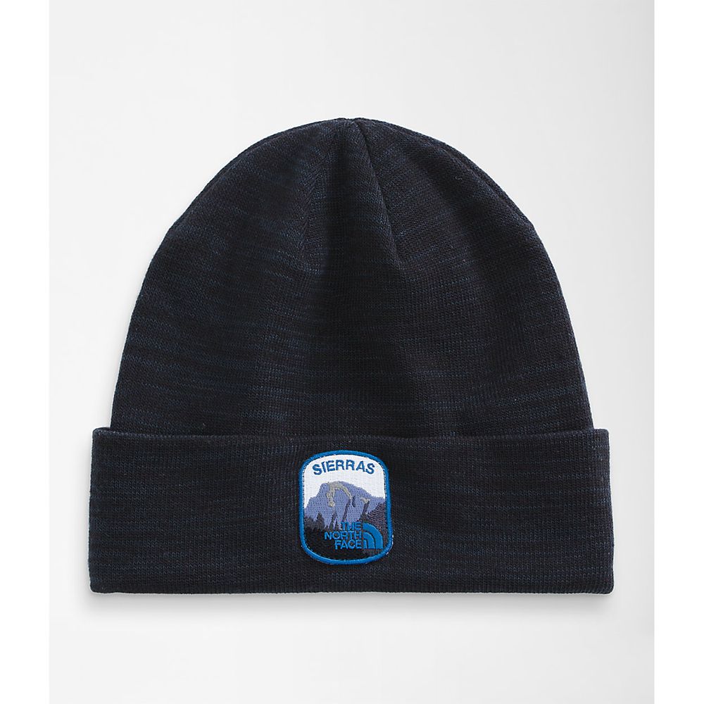 The North Face Caps Mens Australia - The North Face Embroidered Earthscape Black (DXC-724693)